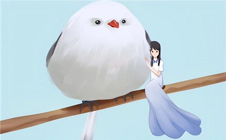 怎么在微信泡妞微信把妹全攻略